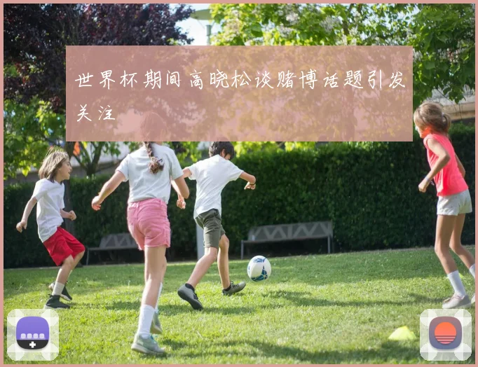 世界杯期间高晓松谈赌博话题引发关注